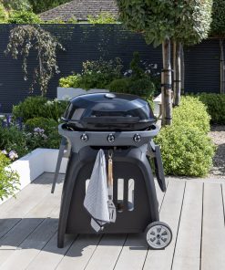 Norfolk Grills N Grill
