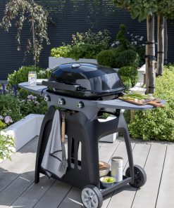 Norfolk Grills N Grill