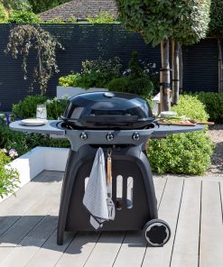 Norfolk Grills N Grill