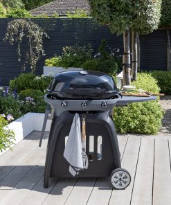 Norfolk Grills N Grill