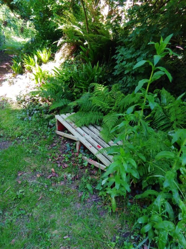 A bench to seat two made of wood, painted sage green, sitting amongst planting.