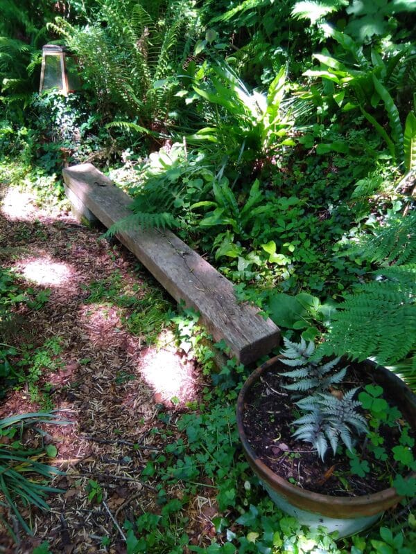 A railway sleeper bench with breezeblock legs set in a fern garden.
