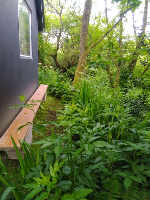 A garden bench made from a scaffolding plank and breezeblocks.