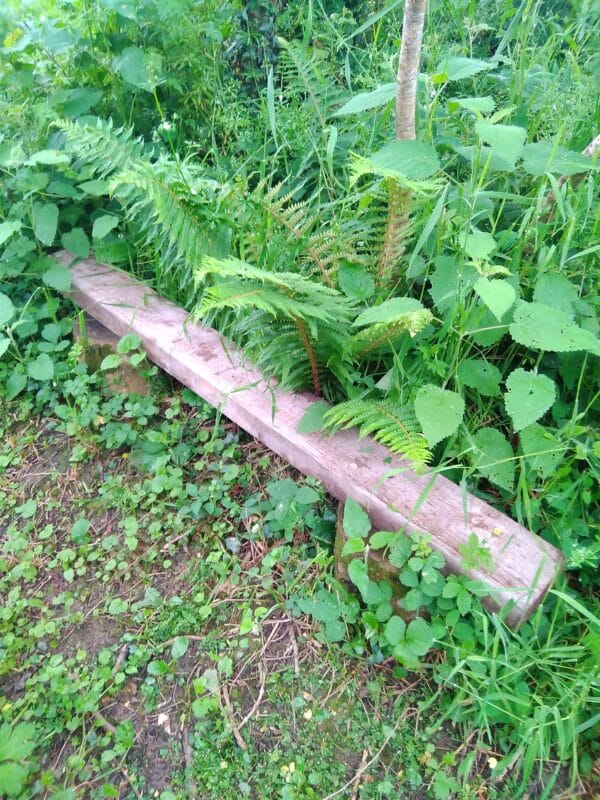 A free garden seat made from a plank of wood and two chunks of tree trunk.